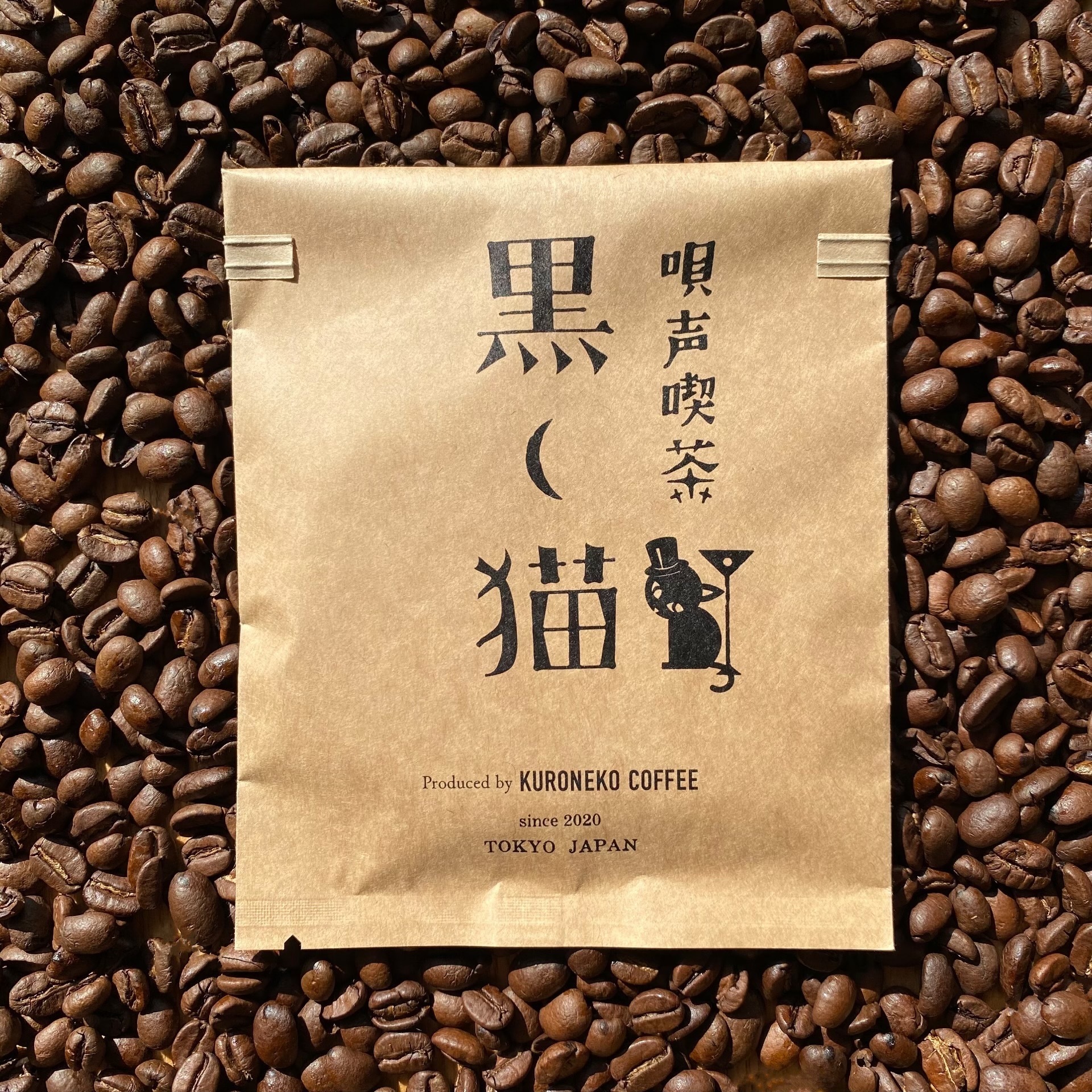 Plastic TreeCD23枚/DVD1枚/有村竜太朗/猫患者/初回限定版 Plastic Tree有村竜太朗、猫に慰められる、の図 (2012/06/14) ROCKIN